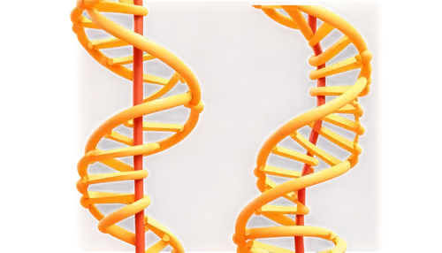 Double helix DNA, molecule, spiral staircase structure, nucleotides, phosphate groups, deoxyribose sugars, nitrogenous bases, adenine, guanine, cytosine, thymine, hydrogen bonds, twisted ladder shape,