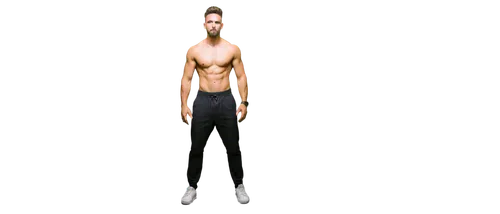 3d man,standing man,derivable,mmd,3d figure,3d model,gon,torso,3d rendered,3d render,frankmusik,polykleitos,rotoscope,male poses for drawing,png transparent,transparent image,abdominis,elongated,flipmode,rotoscoping,Art,Artistic Painting,Artistic Painting 08