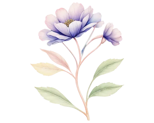 flowers png,lisianthus,watercolor floral background,flower illustration,violet tulip,tuberose,gentian,gentians,agapanthus,watercolour flower,watercolor flower,tulipan violet,floral digital background,anemone purple floral,flower illustrative,watercolor flowers,flower drawing,lavender flower,freesia,floral mockup,Illustration,Black and White,Black and White 01