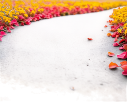 flower carpet,flower wall en,flowerful desert,flower bed,flower field,field of flowers,flower background,flowerbed,flower border,flowerbeds,blooming field,blanket of flowers,flowerbox,sea of flowers,flowers field,flower border frame,floral border,flower borders,flower garden,autumn borders,Art,Artistic Painting,Artistic Painting 09