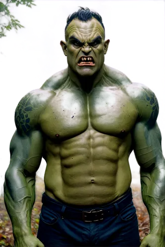 orc,hulka,orcish,avenger hulk hero,pudzianowski,half orc,hulking,skaar,orcs,ogre,ferrigno,ferrigato,nudelman,bukom,oger,hulk,hulked,thrall,orge,incredible hulk,Illustration,Abstract Fantasy,Abstract Fantasy 14