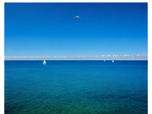 Calming sea scene, vast ocean, blue water, waves gently rolling, seagulls flying overhead, sailboat in distance, sunny day, clear sky, few white clouds, warm light, shallow depth of field, realistic t