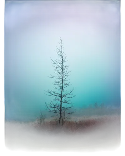 isolated tree,lone tree,small tree,lonetree,ghost forest,larch tree,tree thoughtless,pine tree,vignetting,arbre,pinhole,ampt,larch forests,smaller tree,fir tree,winter tree,forest tree,bare tree,fir tree silhouette,tree,Conceptual Art,Graffiti Art,Graffiti Art 05