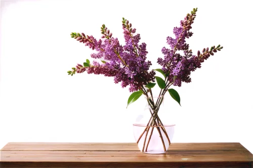 lilacs,lilac bouquet,ikebana,small-leaf lilac,soprano lilac spoon,wisteria shelf,flower arrangement,lilas,limonium,astilbe,flower arrangement lying,buddleja,common lilac,purple lilac,buddleia,lavender flowers,moniquet,floral arrangement,lavender bunch,lilac branch,Illustration,Black and White,Black and White 07