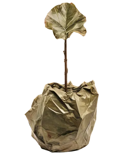 papillote,green folded paper,foil balloon,crumpled paper,biodegradability,lampion flower,golden apple,paper bag,lampion,cattelan,kartell,ayloffe,biodegrade,crumpled,isolated product image,foscarini,suspended leaf,money tree,paper rose,folded paper,Conceptual Art,Oil color,Oil Color 18