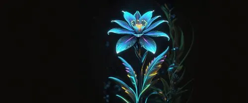 пустой черный фон,a glass object sitting in the middle of a room,water flower,blu flower,blue flower,elven flower,blue petals,brodiaea