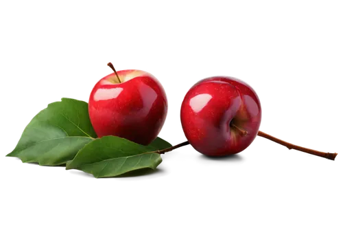 Red delicious apple, glossy skin, green leaf attached, stem on top, solo, still life, shallow depth of field, soft natural light, warm color tone, 3/4 composition, detailed texture, realistic, HD.,two