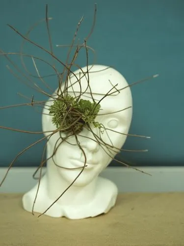 steel wires not plant,there is a white statue head with a plant growing on it,alfalfa sprouts,neurone,sprouting rock carnation,insect ball,dandelion parachute ball,garlic bulb,Art,Artistic Painting,Ar