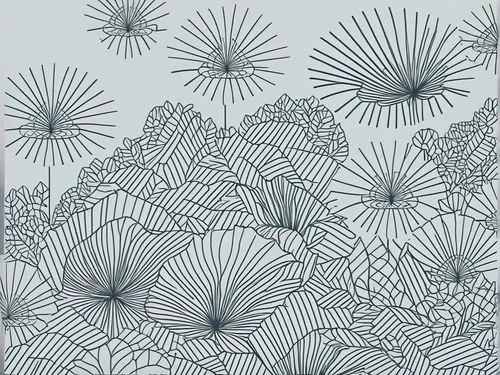 a drawing that shows a lot of plants in a field,dendrites,umbrella pattern,flower line art,dandelion background,botanical line art,radiolarians,Illustration,Black and White,Black and White 04