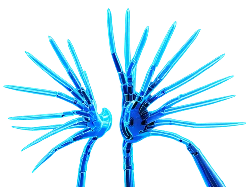 cnidarian,cyanus cornflower,spines,echinoderm,stamens,isolated product image,close up stamens,borago officinalis,nerve cell,stamen,cleanup,connective tissue,caryophyllaceae,purple salsify,black salsify,crepis paludosa,jasione montana,cornflower,bristles,cyclopogon,Conceptual Art,Daily,Daily 22