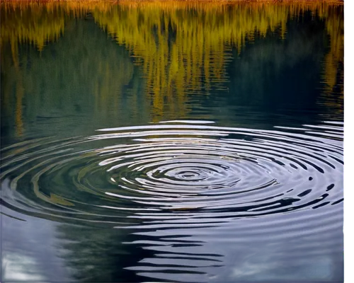 ripples,reflection of the surface of the water,reflection in water,reflections in water,water reflection,whirlpool pattern,surface tension,water surface,ripple,whirlpool,water mirror,water scape,mirror water,waterscape,feather on water,calm water,water waves,waves circles,water lotus,refraction,Illustration,Paper based,Paper Based 18