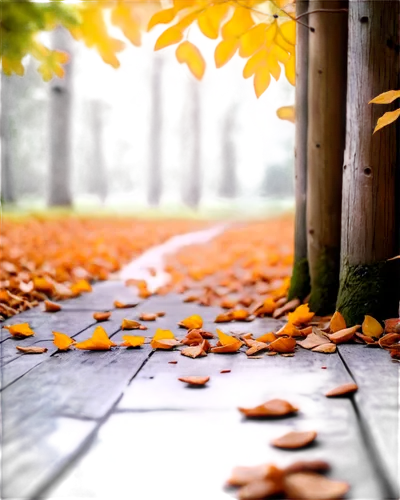 autumn background,autumn frame,fallen leaves,autumn walk,autumn leaves,round autumn frame,autumn round,autumn scenery,autumn in the park,autumn park,just autumn,autumn,golden autumn,autumn forest,autumn season,autumn songs,fallen leaf,autumnal leaves,the autumn,autumn day,Conceptual Art,Oil color,Oil Color 17