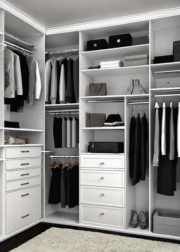 walk-in closet,closet,wardrobe,women's closet,storage cabinet,armoire,dresser,lisaswardrobe,organization,organized,cabinetry,drawers,cupboard,search interior solutions,modern style,shoe cabinet,shelving,compartments,cabinets,one-room,Illustration,Black and White,Black and White 04