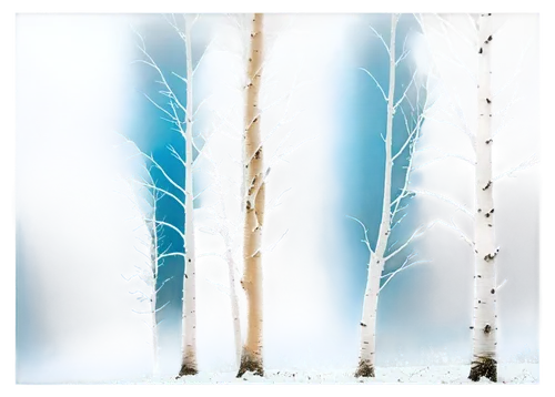 birch tree background,winter background,winter forest,snow trees,snowflake background,birch trees,christmas snowy background,birch forest,birch tree illustration,background vector,snow scene,snow landscape,winter landscape,coniferous forest,forest background,nature background,birch tree,cartoon video game background,watercolor christmas background,snow in pine trees,Photography,Black and white photography,Black and White Photography 10