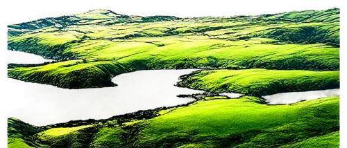 moss landscape,green landscape,tea field,virtual landscape,igatpuri,green valley,green fields,kudremukh,rice terraces,green wallpaper,tea plantations,fractal environment,green forest,green waterfall,green trees with water,topographer,savanes,hills,tea plantation,verdant,Illustration,Children,Children 02