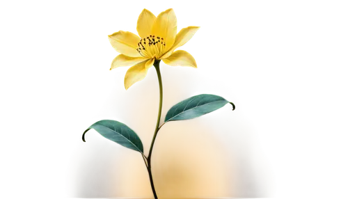 flowers png,flower illustrative,the trumpet daffodil,ikebana,yellow canada lily,flower illustration,yellow flower,yellow bell flower,yellow avalanche lily,yellow bell,gold flower,bookmark with flowers,decorative flower,avalanche lily,flower background,lilium candidum,lily flower,artificial flower,yellow rose background,daffodil,Conceptual Art,Fantasy,Fantasy 22
