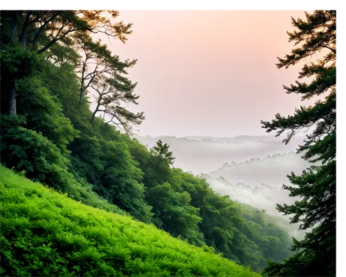 sempervirens,tea plantations,kasauli,nature background,tea field,tea plantation,ranikhet,coonoor,background view nature,rize,hillside,foggy landscape,green forest,green landscape,fir forest,landscape background,forestland,verdant,green wallpaper,greenery,Illustration,Retro,Retro 25