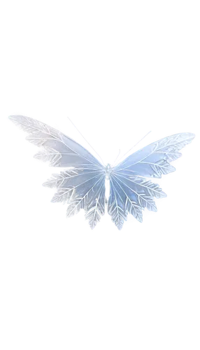 butterfly vector,angel wing,blue butterfly background,winged,winged heart,angel wings,wings,twitter logo,bird wing,wing blue white,butterfly background,dove of peace,wing blue color,bird wings,sky butterfly,white feather,glass wings,wing,delta wings,png transparent,Illustration,Retro,Retro 14