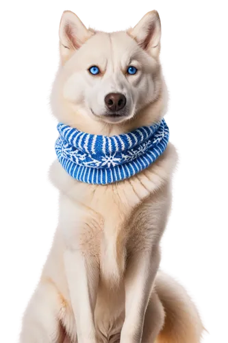 inu,garrison,jindo,shiba,shibe,huskic,shiba inu,dogecoin,husked,siberian husky,husky,siku,akita,yukai,siberian,samoyedic,scarf animal,malamutes,ruzowitzky,ein,Conceptual Art,Daily,Daily 20