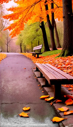 park bench,autumn park,autumn in the park,benches,red bench,wooden bench,bench,autumn scenery,autumn background,autumn frame,walk in a park,central park,fallen leaves,autumn walk,the autumn,autumn color,picnic table,late autumn,autumn season,autumn leaves,Conceptual Art,Fantasy,Fantasy 09