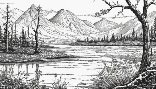 birch tree illustration,larch forests,vermilion lakes,larch trees,dove lake,swiftcurrent lake,salt meadow landscape,bow lake,river landscape,swampy landscape,mountain scene,riparian forest,yamnuska,maligne river,hintersee,hand-drawn illustration,mountain lake,glacial lake,yukon territory,floodplain,Illustration,Black and White,Black and White 17