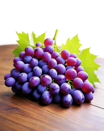 purple grapes,fresh grapes,red grapes,grapes,table grapes,blue grapes,bunch of grapes,winegrape,bright grape,wine grape,grape hyancinths,wine grapes,grape,grape bright grape,vineyard grapes,grape turkish,cluster grape,grape vine,merlots,purple grape,Illustration,Realistic Fantasy,Realistic Fantasy 39