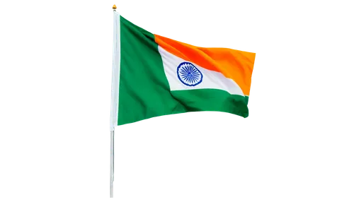 Indian national flag, horizontal layout, high-definition, tri-color scheme, saffron, white, green, Ashoka Chakra, golden ratio composition, soft natural light, shallow depth of field, warm color tone,