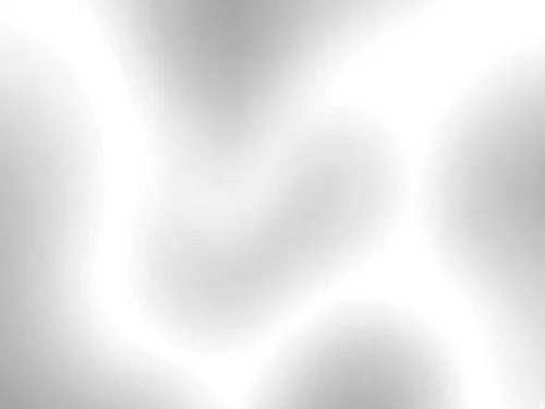 a black and white po with some light colored shapes,light fractal,anisotropic,transparent background,ghost background,white space,square background,png transparent,transparent image,background abstrac