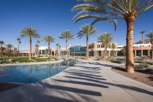 summerlin,royal palms,unlv,palm springs,gcu,ahwatukee,date palms,two palms,indian canyon golf resort,scottsdale,luxury home,washingtonia,indian canyons golf resort,palm garden,palms,palmilla,luxury property,amanresorts,palm pasture,phototherapeutics,Conceptual Art,Fantasy,Fantasy 24