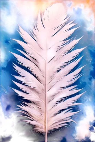 white feather,chicken feather,bird feather,hawk feather,feather,pigeon feather,swan feather,plumes,feathers,parrot feathers,color feathers,feather jewelry,feather headdress,angel wing,feathers bird,feather on water,peacock feather,leaf background,feather bristle grass,black feather,Conceptual Art,Graffiti Art,Graffiti Art 07