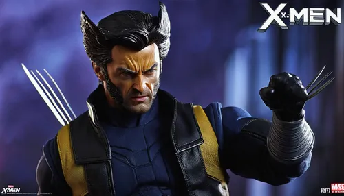 wolverine,x-men,x men,xmen,marvel figurine,magneto-optical drive,vax figure,magneto-optical disk,crossbones,actionfigure,collectible action figures,action figure,god of thunder,henchman,xenon,3d figure,cowl vulture,male character,wall,3d man,Conceptual Art,Fantasy,Fantasy 12