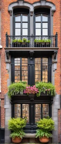 brownstones,old town house,rowhouse,townhouse,dürer house,nolita,window front,brownstone,balconies,row of windows,keizersgracht,window with shutters,wrought iron,house front,balcones,amsterdam,colorful facade,ventanas,frontages,flower boxes,Conceptual Art,Fantasy,Fantasy 04