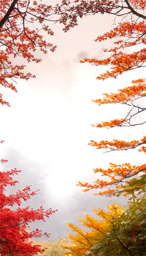 autumn background,autumn frame,autumn scenery,round autumn frame,autumn in japan,autumn tree,autumn forest,colored leaves,fall foliage,autumn landscape,colors of autumn,autumn trees,autumn leaves,sky of autumn,light of autumn,autumn color,fall landscape,nature background,autumn foliage,autumn sun,Illustration,Japanese style,Japanese Style 17