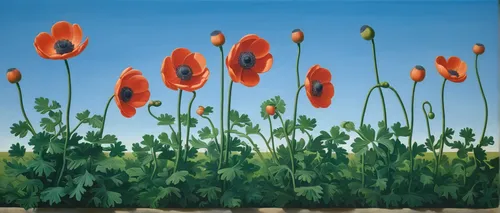 red poppies,poppies in the field drain,poppy fields,poppies,poppy field,papaver,red poppy on railway,poppy flowers,red poppy,coquelicot,opium poppies,field of poppies,corn poppies,poppy plant,poppy family,floral poppy,a couple of poppy flowers,red tulips,flower painting,remembrance day,Art,Artistic Painting,Artistic Painting 06