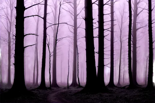 haunted forest,foggy forest,forest background,cartoon video game background,halloween background,forest dark,cartoon forest,the forest,forest,black forest,forest walk,enchanted forest,the woods,elven forest,forest of dreams,autumn forest,wooded,fairy forest,woodcreepers,the forests,Conceptual Art,Oil color,Oil Color 09