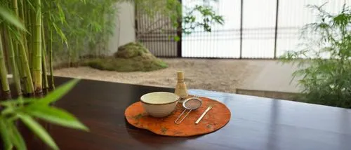 tea ceremony,japanese-style room,yinzhen,ryokan,bamboo plants,teahouse