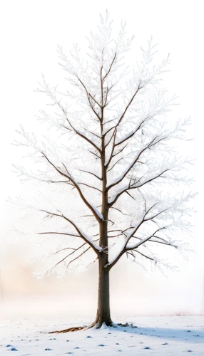 winter tree,snow tree,snowy tree,bare tree,isolated tree,treemsnow,hoarfrost,winter background,lone tree,birch tree background,silver maple,tree white,slippery elm,seasonal tree,brown tree,deciduous tree,thunberg's fan maple,tree thoughtless,winter landscape,snow trees,Art,Artistic Painting,Artistic Painting 48