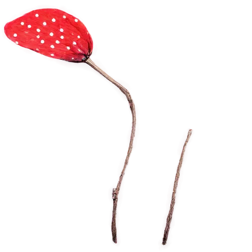 Cute, small, red cap, white spots, slender stem, rounded head, detailed texture, soft focus, close-up shot, shallow depth of field, warm lighting, autumn theme, forest floor setting.,sundew,marasmius,