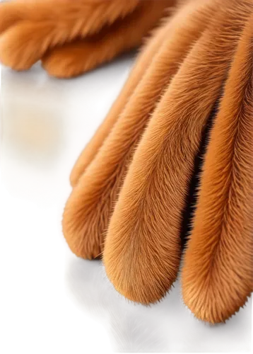 sheep wool,wood wool,equine coat colors,shetland sheepdog tricolour,fur,raw silk,argan tree,rough collie,dog paw,brown fabric,foxtail,nova scotia duck tolling retriever,argan trees,natural rubber,argan,cowhide,enokitake,basket fibers,fur clothing,rubber boa,Illustration,Retro,Retro 24