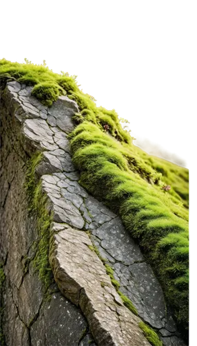 moss,wall,tree moss,moss saxifrage,mountain stone edge,forest moss,block of grass,soil erosion,brick grass,rock erosion,turf roof,grass roof,landform,liverwort,cry stone walls,stone wall,mud wall,stone wall road,aaa,rock walls,Photography,Documentary Photography,Documentary Photography 09