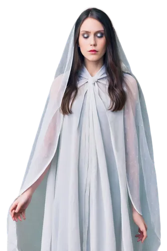 the angel with the veronica veil,the prophet mary,clergywoman,muslin,novitiate,nunsense,girl in cloth,cassock,veils,abaya,foundress,white winter dress,saint therese of lisieux,christianized,mother mary,suit of the snow maiden,canoness,vestment,mediatrix,prioress,Illustration,Realistic Fantasy,Realistic Fantasy 24