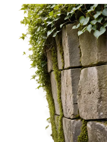 brick wall background,stone wall,wall,old wall,stonewalls,walling,longwall,green wallpaper,windows wallpaper,intensely green hornbeam wallpaper,hedwall,background ivy,stone fence,cry stone walls,limestone wall,brick background,stone background,sandstone wall,stonewalled,walled,Conceptual Art,Fantasy,Fantasy 29