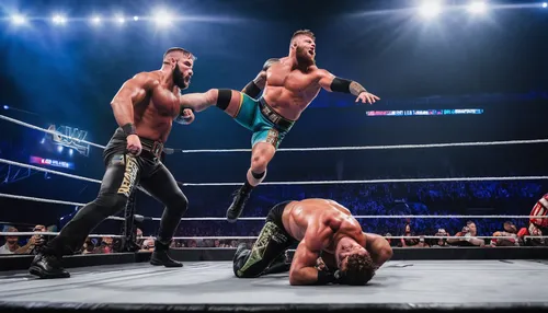 wrestling match, AEW Fight Forever, two wrestlers, dynamic poses, grappling, muscular build, athletic wear, wrestling ring, high-flying action, audience cheering, intense facial expressions, sweat gli