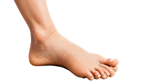 foot model,foot,foot reflex,toe,foot reflexology,neuroma,dorsiflexion,foot reflex zones,the foot,hindfeet,reflex foot sigmoid,sclerotherapy,mirifica,podiatry,tibialis,supination,hindfoot,lymphedema,podiatrists,forefeet,Art,Classical Oil Painting,Classical Oil Painting 24