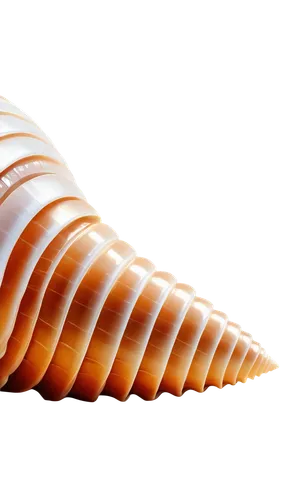 garden cone snail,spiny sea shell,anago,sea shell,cone,seashell,blue sea shell pattern,school cone,sfogliatelle,ice cream cone,fir cone,tubular anemone,sea snail,cones,beach shell,conifer cone,soft serve ice creams,african croissant,clam shell,seashells,Illustration,Vector,Vector 18