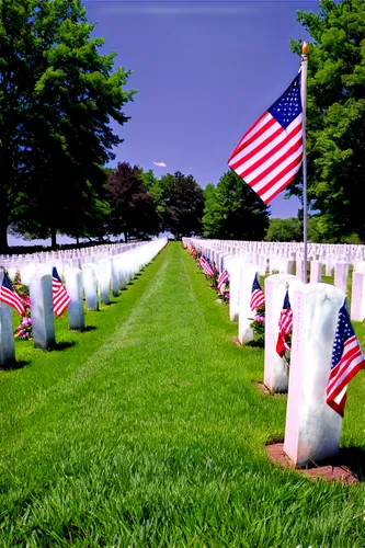 military cemetery,arlington cemetery,memorial day,war graves,arlington,central cemetery,soldier's grave,cemetery,nonveterans,remembrance,forest cemetery,honoring,unknown soldier,memorials,gravesites,reinterment,immemorial,commemorates,interred,veteran's day,Photography,Documentary Photography,Documentary Photography 12