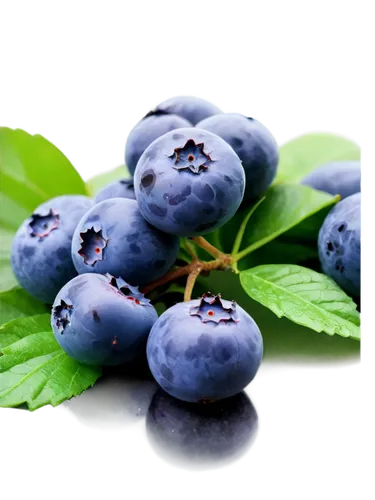 Blueberry, macro shot, close-up, juicy, plump, round shape, green calyx, sweet glossy surface, morning dew, soft natural light, shallow depth of field, warm color tone, cinematic composition.,grape se