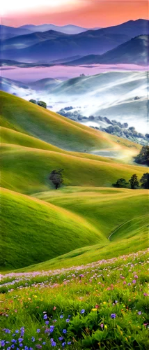 rolling hills,toscana,toscane,tuscany,purple landscape,lavender fields,lavender field,tuscan,beautiful landscape,palouse,sonoma,marin county,landscape nature,windows wallpaper,nature landscape,landscape background,meadow landscape,castelluccio,landscapes beautiful,northern california,Illustration,Retro,Retro 08