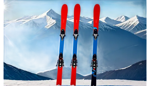 ski equipment,ski touring,downhill ski binding,ski binding,telemark skiing,alpine skiing,ski cross,skis,skiers,ski race,backcountry skiiing,ski mountaineering,skiing,piste,monoski,nordic skiing,cross-country skiing,crampons,winter sports,ski,Illustration,Retro,Retro 16