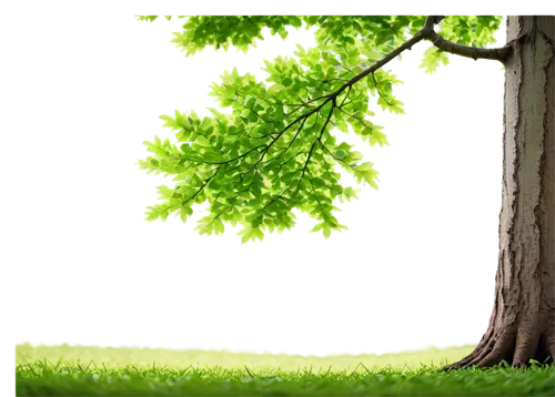 green tree,green wallpaper,aaaa,nature background,spring leaf background,green trees,green background,patrol,green,aaa,green power,birch tree background,green energy,green living,green tree phyton,background view nature,nature wallpaper,green forest,green landscape,ecopeace,Art,Classical Oil Painting,Classical Oil Painting 36